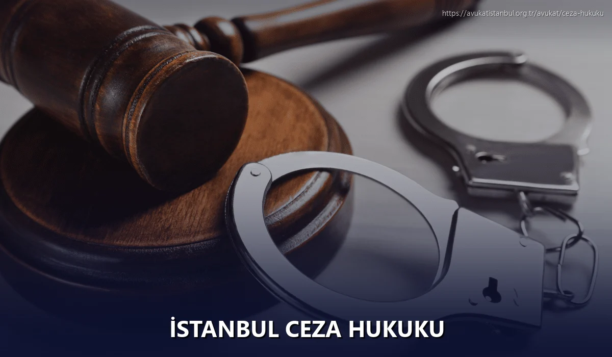 İstanbul Ceza Hukuku